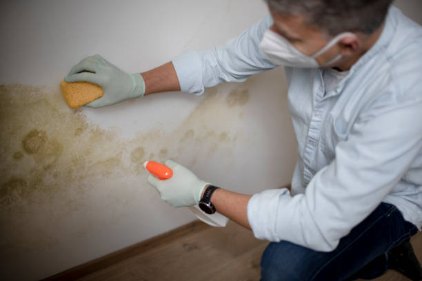 Best Crawl Space Mold Removal  in Madison, NE
