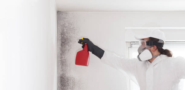 Best Emergency Mold Removal  in Madison, NE