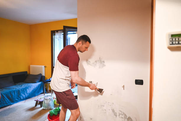 Best Mold Removal and Inspection  in Madison, NE